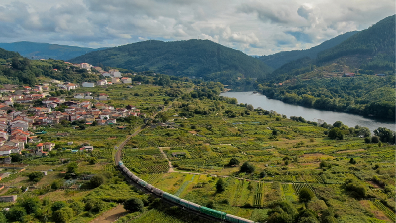 La comarca del Ribeiro